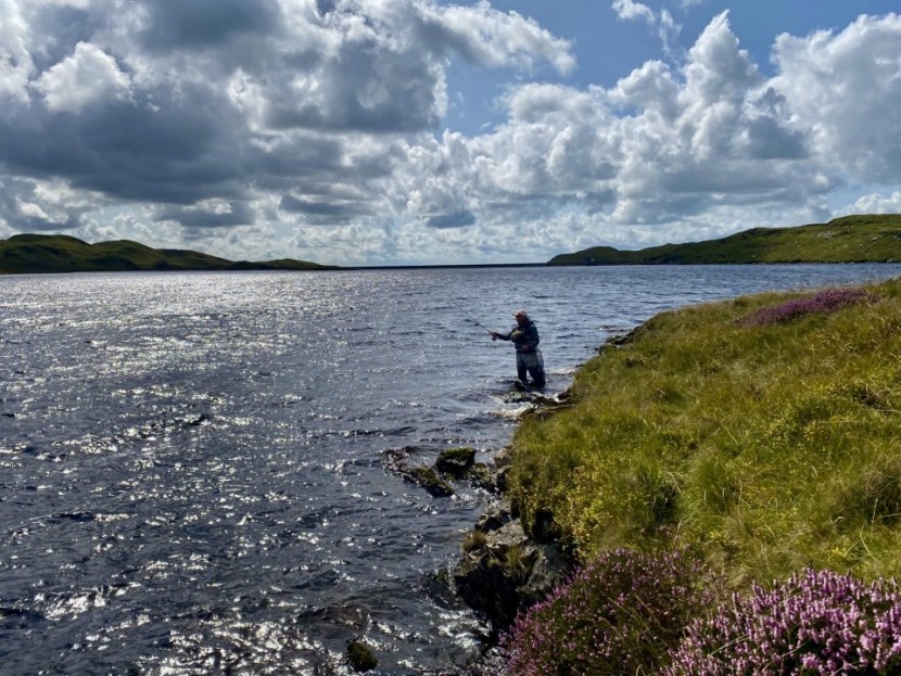Llyn Teifi - Lyn Davies from Swansea